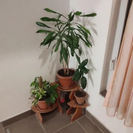 Apartment Jakovljevic