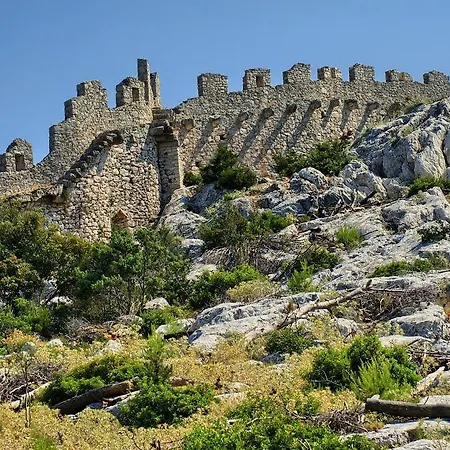 Jakovljevic *