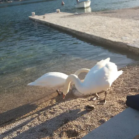 Apartamento Jakovljevic