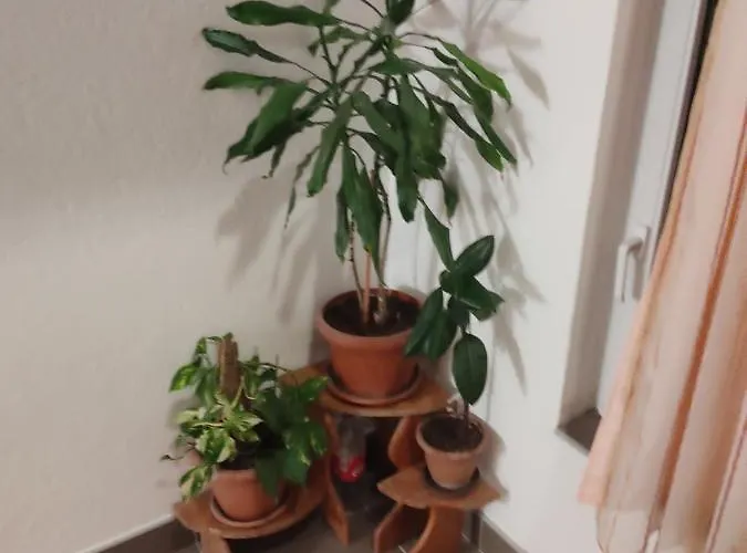 Apartamento Jakovljevic