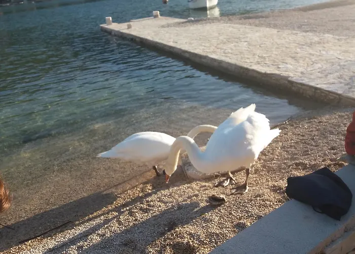 Apartamento Jakovljevic